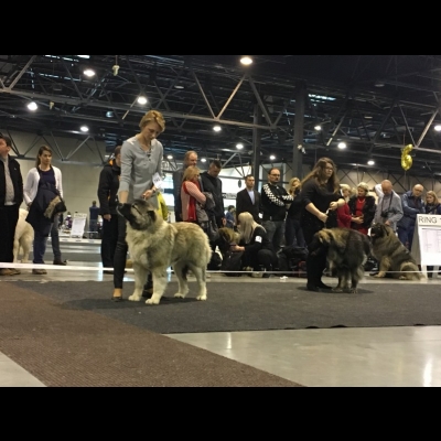 IDS KATOWICE'19 - BAGIRA